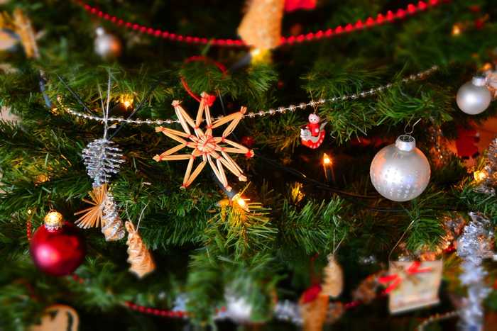 Rassegna stampa 24 dicembre 2021 - Christmas Edition
